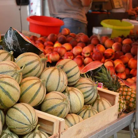 Daire Bo190-026 3 Couchages Les Mimosas