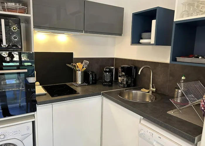 Bo190-026 3 Couchages Les Mimosas