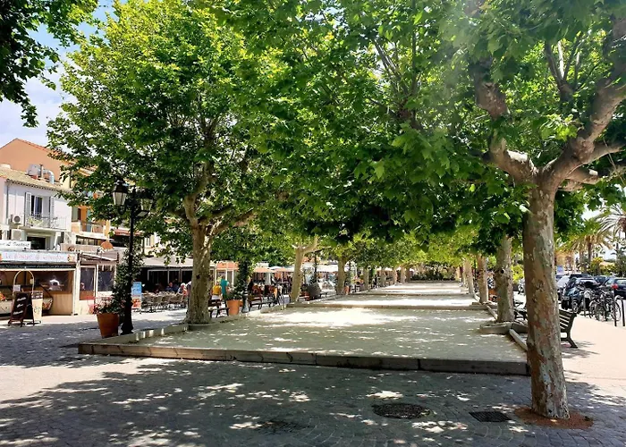 Bo190-026 3 Couchages Les Mimosas Daire Bormes-les-Mimosas